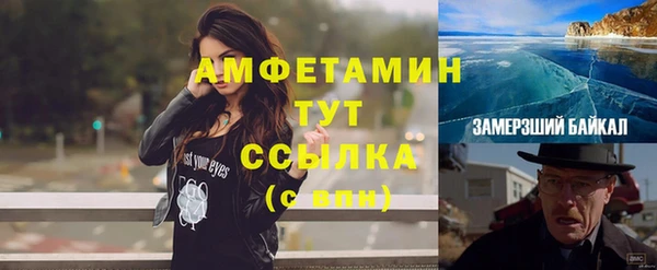 крисы Аркадак