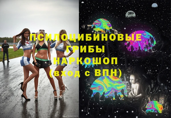 крисы Аркадак