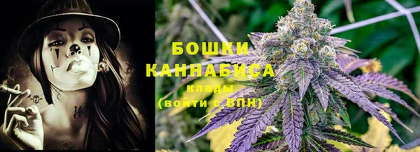крисы Аркадак