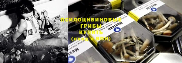 крисы Аркадак