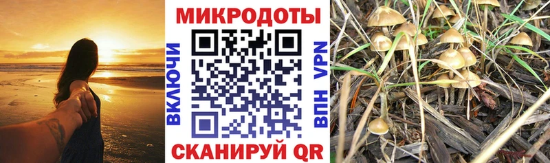 где купить наркоту  Свирск  Псилоцибиновые грибы Magic Shrooms 